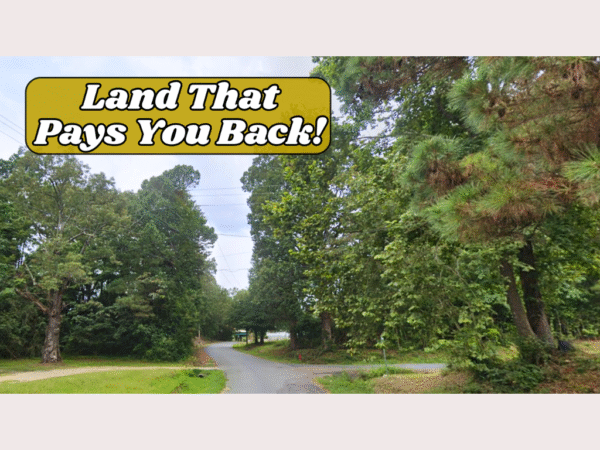 Freedom Inside<br> City Limits - Image 7