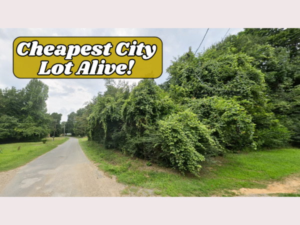 Freedom Inside<br> City Limits - Image 9