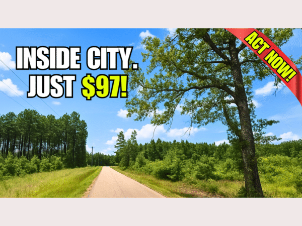 Freedom Inside<br> City Limits - Image 2