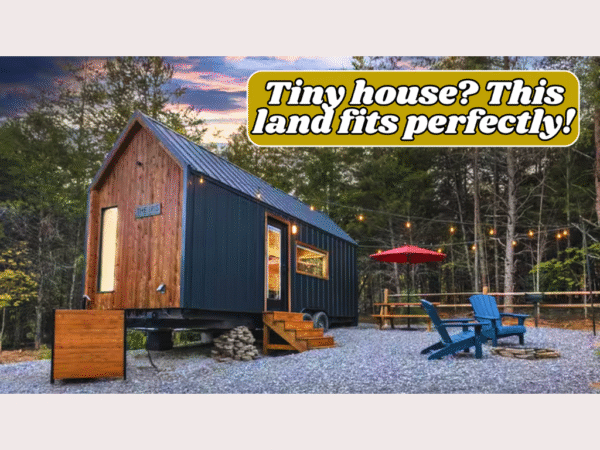 1.5 Acres,<br> Wide Open - Image 15