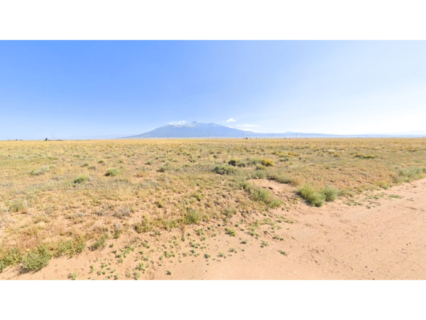 Own<br> The Horizon - Image 10