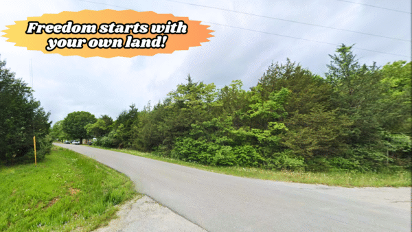Home Starts<br>On This Street - Image 9