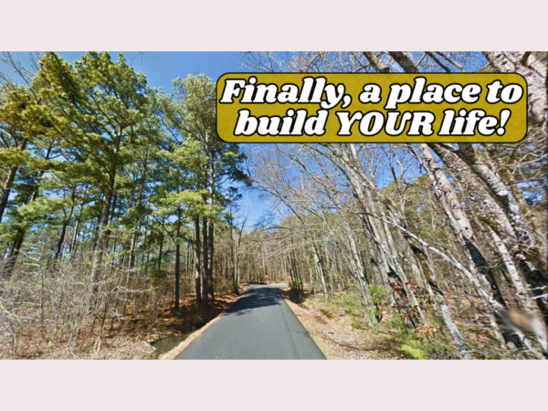 Own Soil,<br> Own Story - Image 8