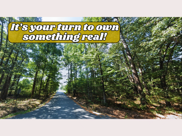 Own Soil,<br> Own Story - Image 7