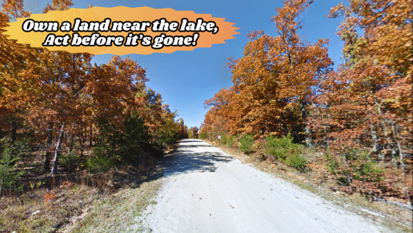 Roots Begin<br>By The Lake - Image 8