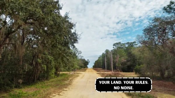 Florida Days<br> Finally Yours - Image 9