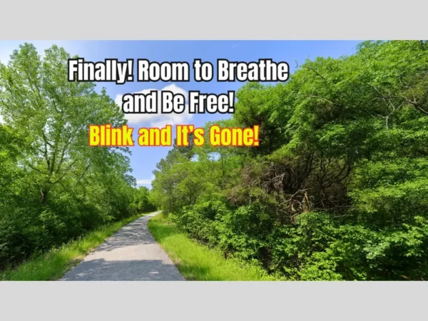 Quiet Meets<br> Comfort - Image 2