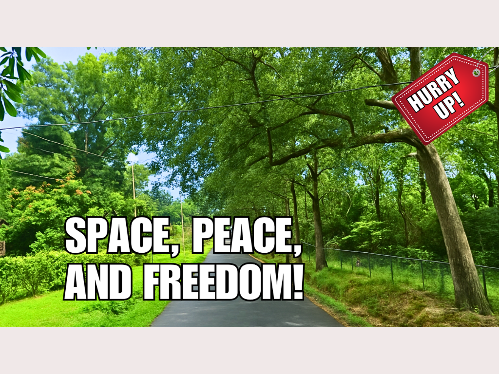 Room<br>To Breath - Image 11