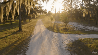 Florida Days,<br>Finally Yours. - Image 14